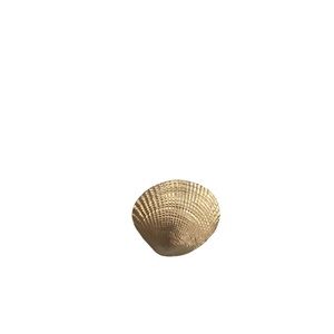 Gold seashell brooch